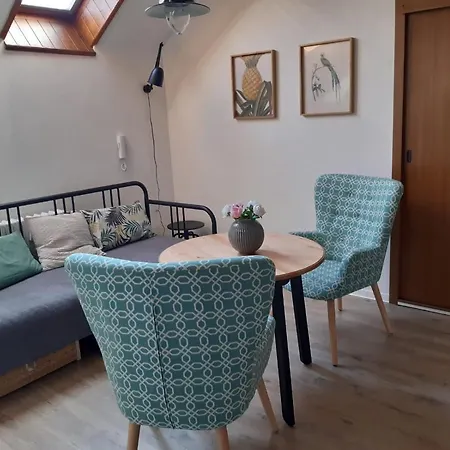 Apartment Apartman U Zlate Hvezdy I Jindrichuv Hradec